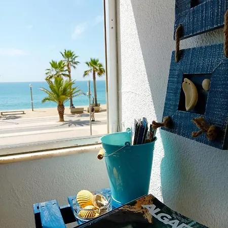 Nautic Картейра